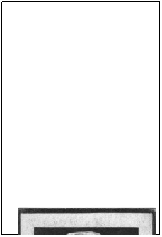Textfeld: 